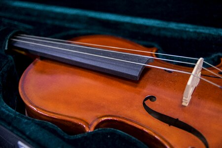 Violin musical instruments string