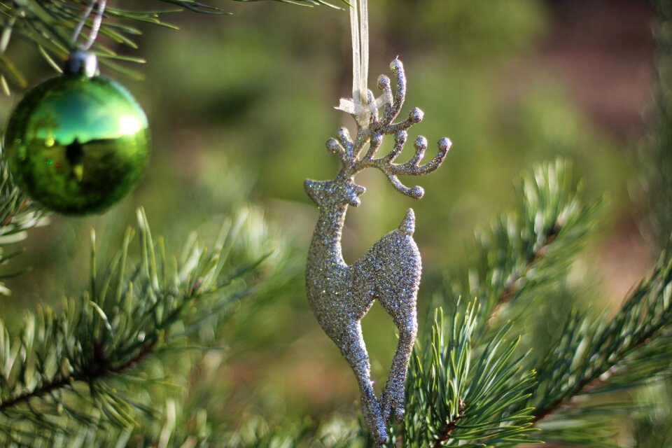 Xmas advent holiday