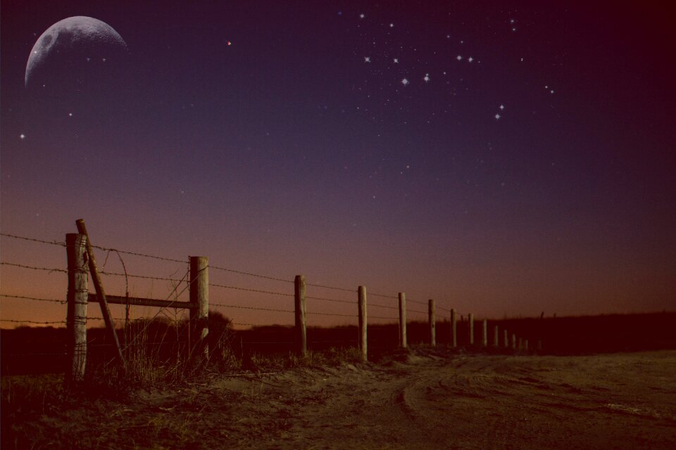 Agriculture moon sky