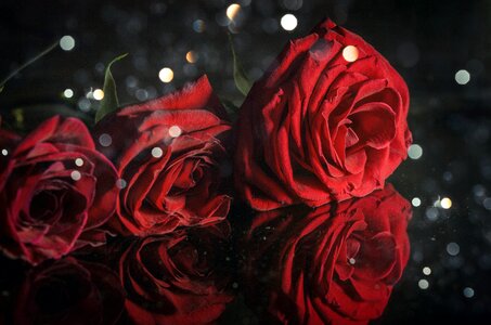 Red velvet bokeh blur