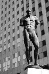 Body muscles men body