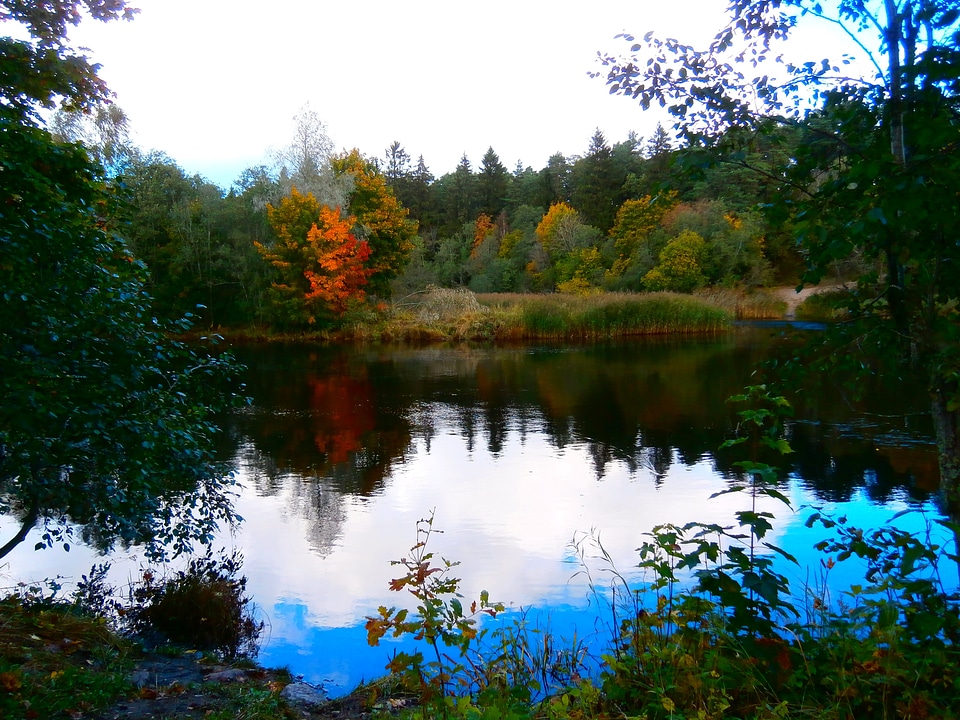 Landscape wilderness scenery
