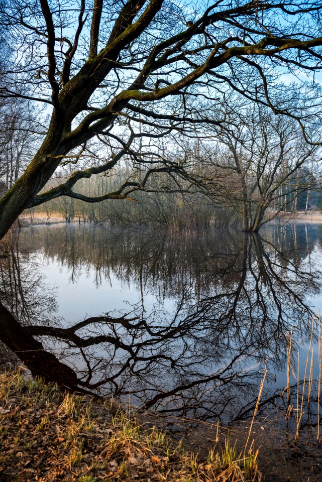 Mood mirroring winter photo