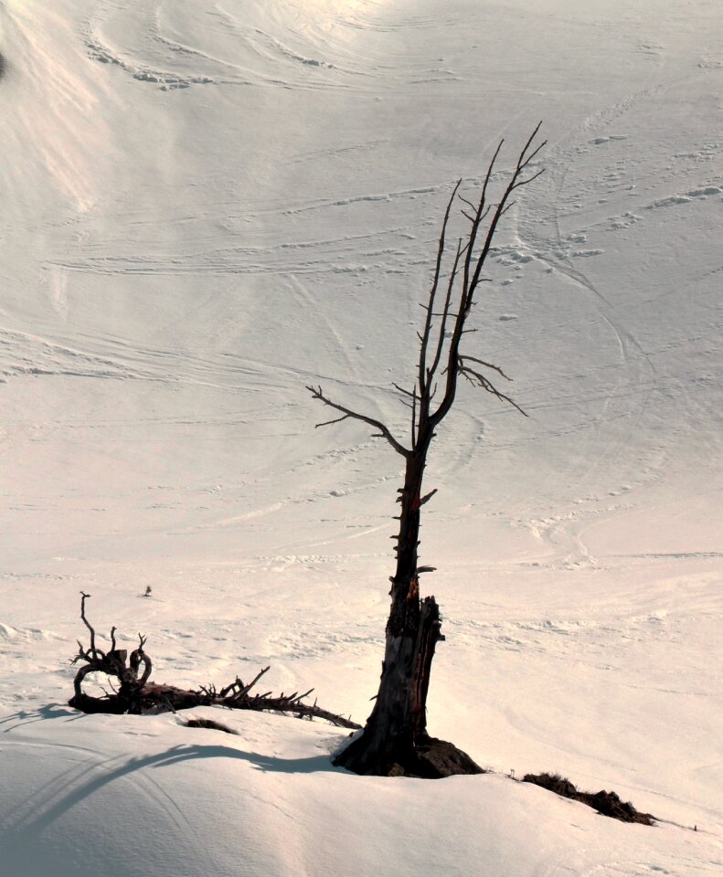 Nature alps