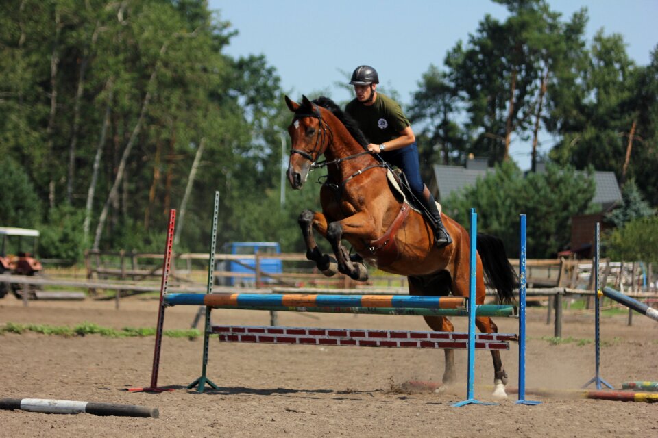 Skokiprzezprzeszkody jumping jazdakonna