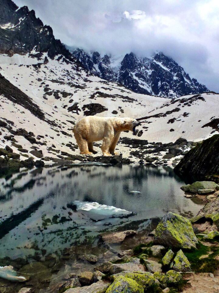 Snow water wild