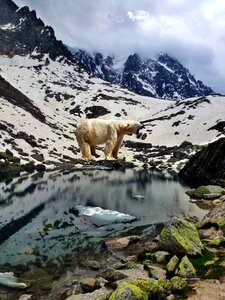 Snow water wild