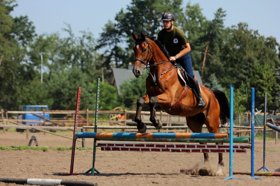 Skokiprzezprzeszkody jumping jazdakonnan