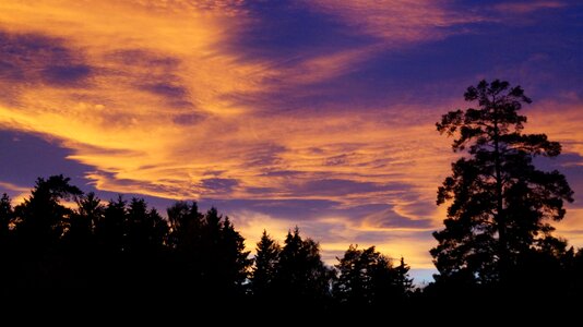 Sunset the nature of the dusk