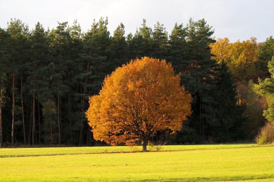 Nature landscape mood