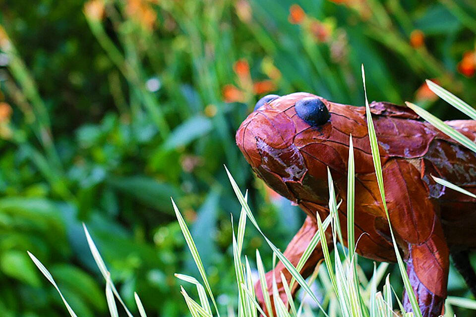 Brown nature