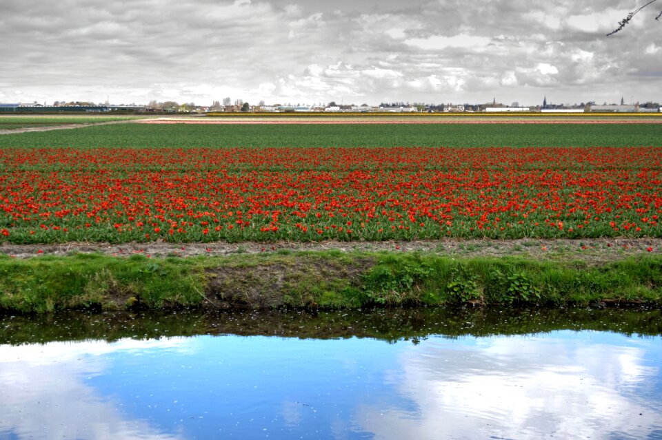 Spring park holland