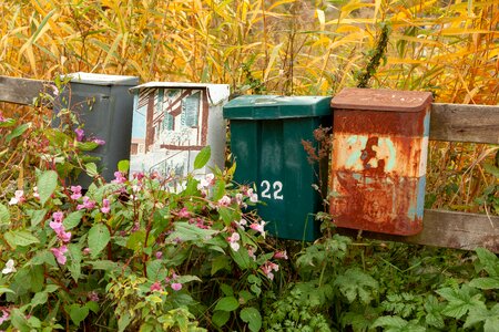 Mailbox rust nature