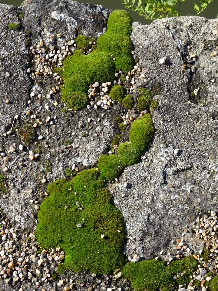 Nature green stones