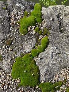 Nature green stones