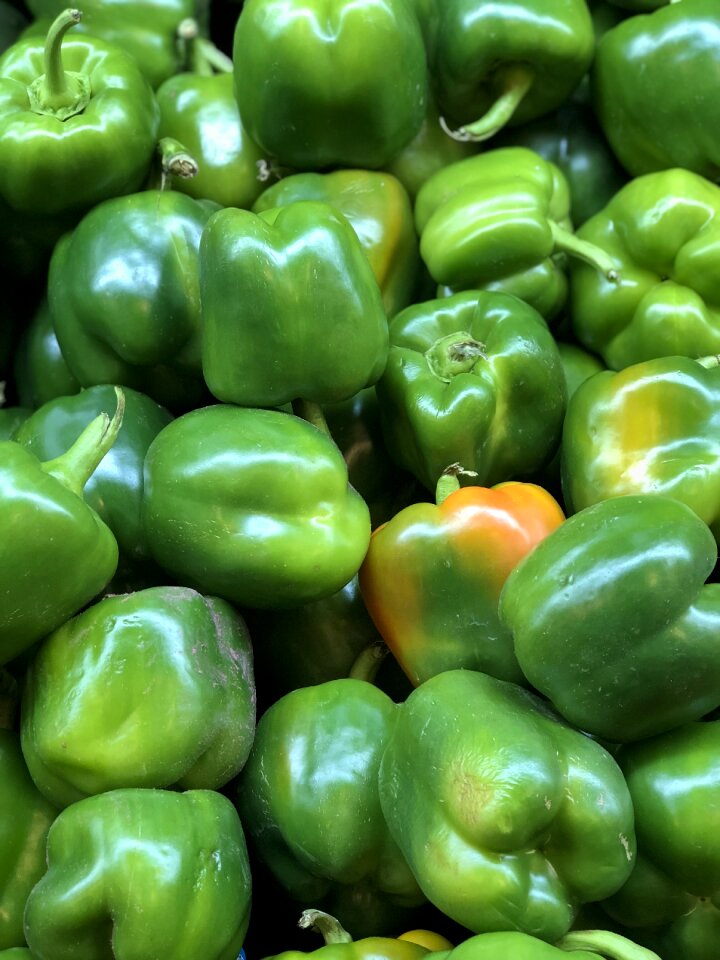 Vegetable raw ingredient photo