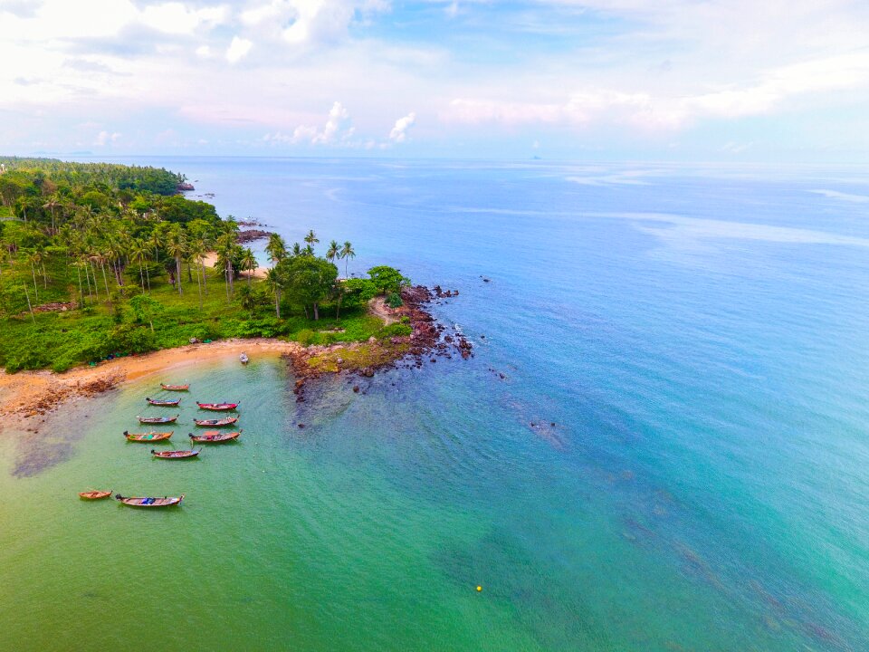Travel aerial forest
