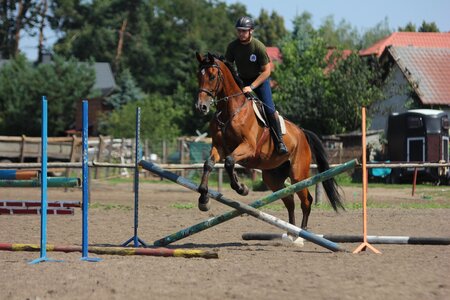Skokiprzezprzeszkody jumping jazdakonna