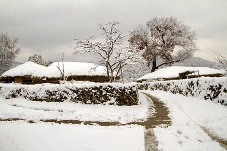 Winter winter landscapes besides cancer and