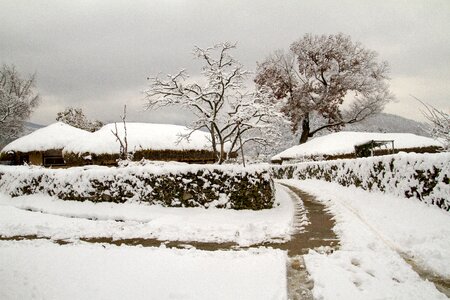 Winter winter landscapes besides cancer and photo