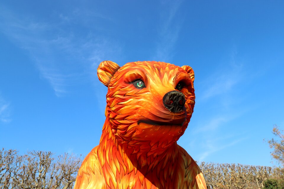 Exhibition reconstitution of animals color orange