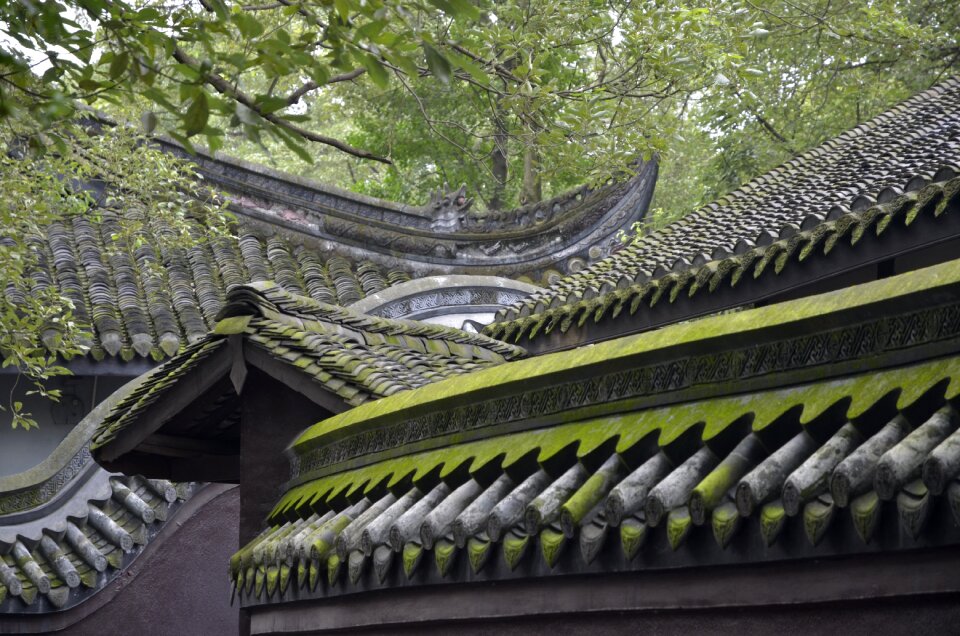 Moss architecture old