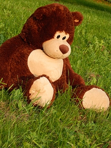 Park puppy stromovka