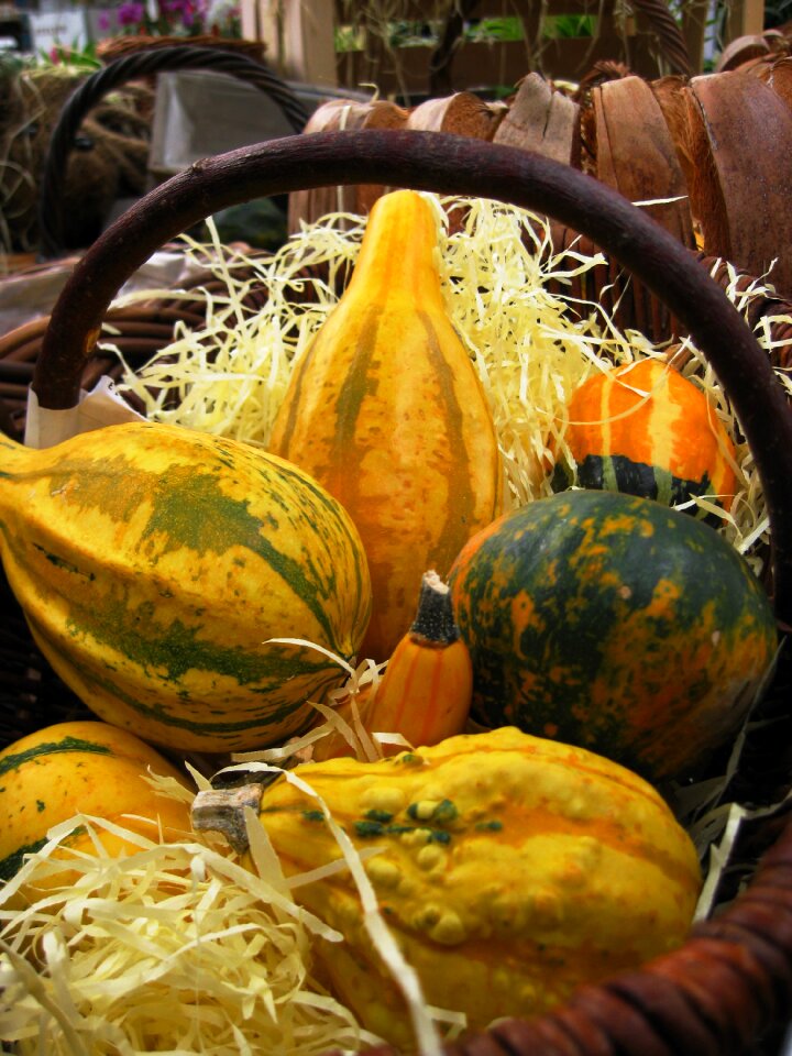 Halloween yellow pumpkin