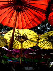 Umbrella sky decorated