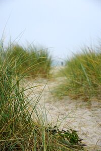 Nature sand coast
