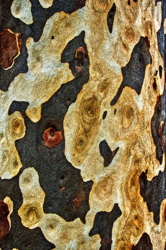 Surface grain woods
