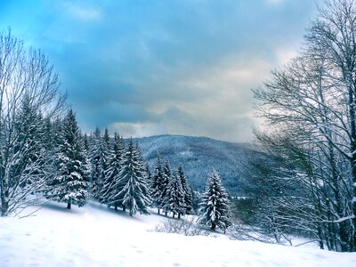 Winter landscape cold photo