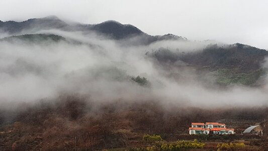 Jiri nature fog
