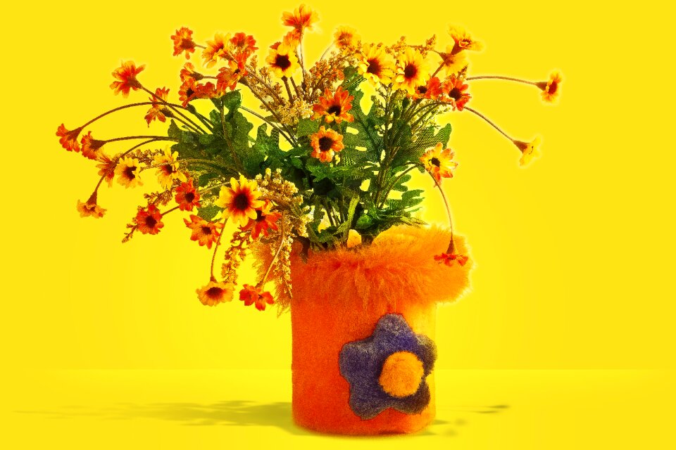 Color nature orange