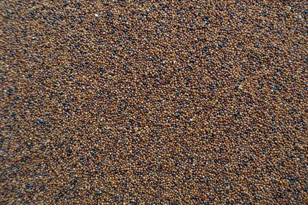 Qañiwa texture grain