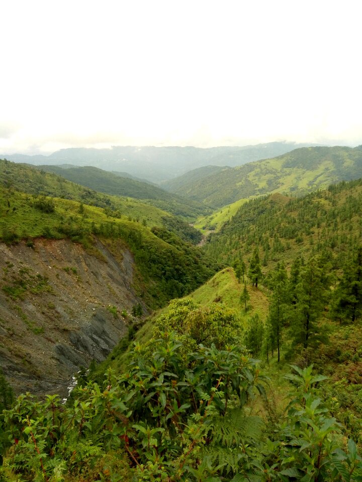 Greenery river