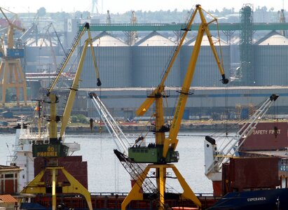 Crane constanta silo