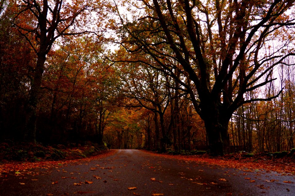 Galicia ourense color