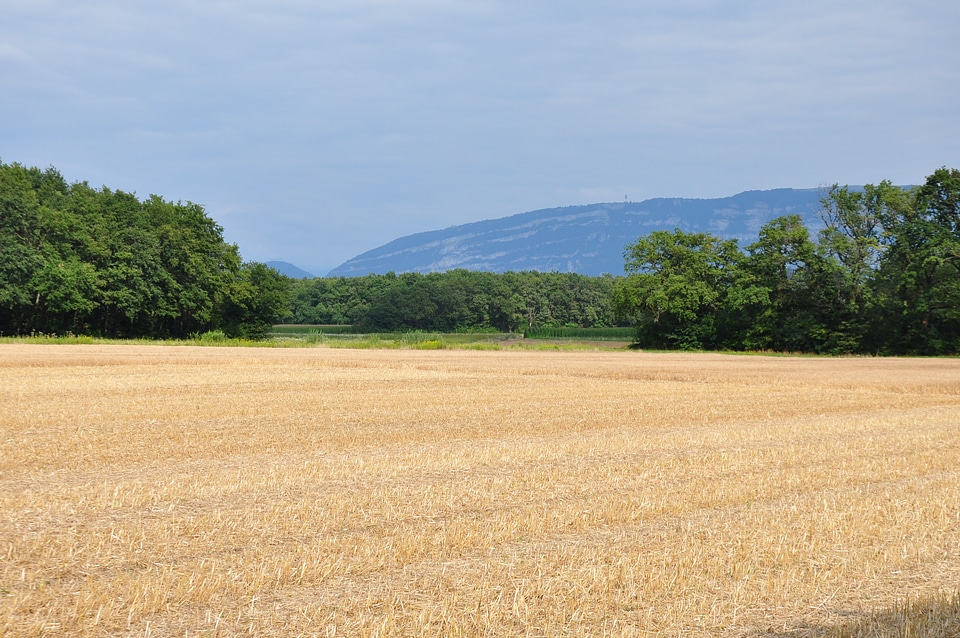 Laconnex geneva landscape