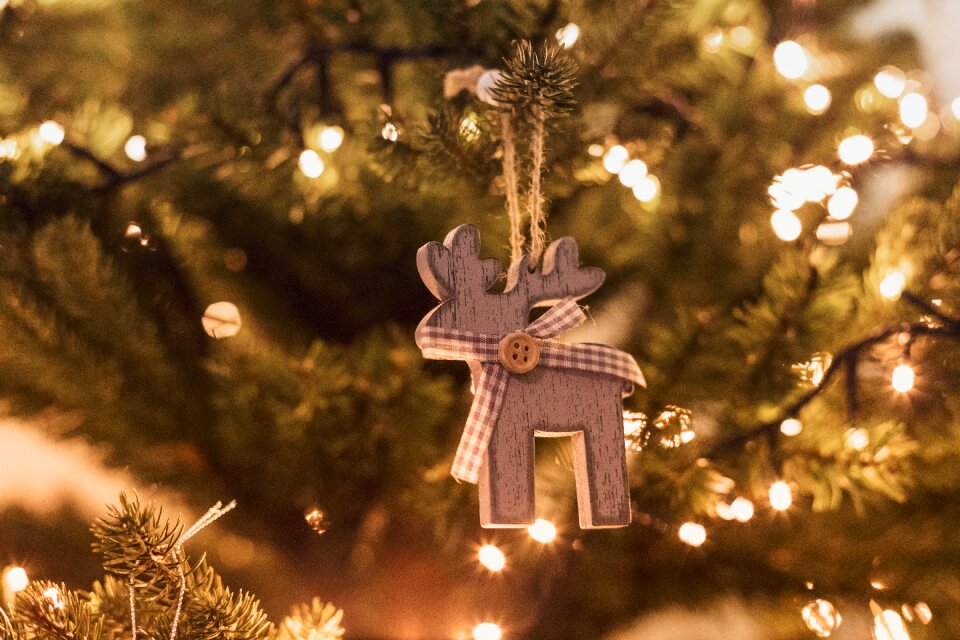 Decoration christmas x-mas