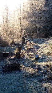 November frost garden