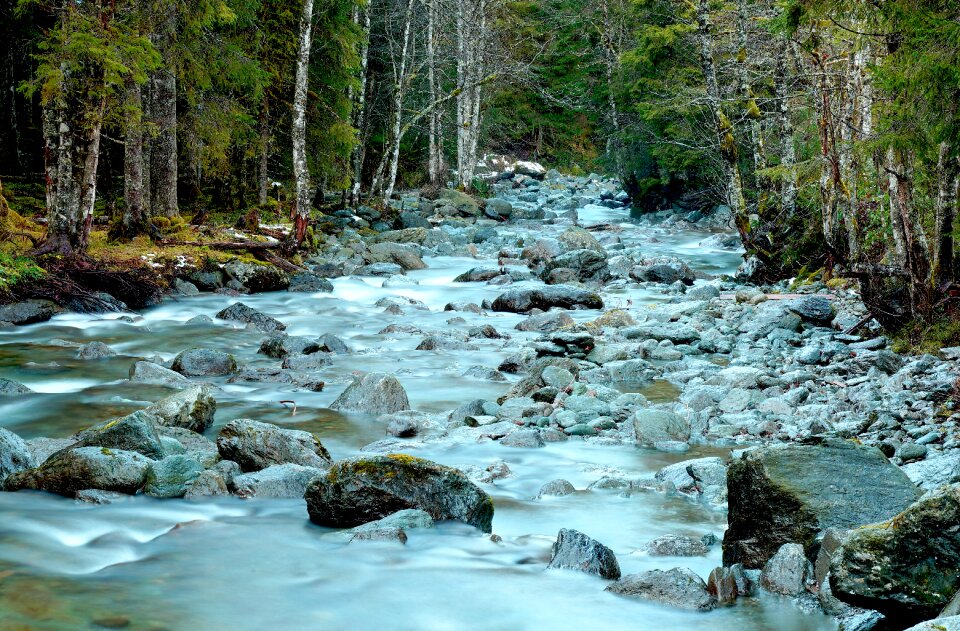 Bach atmospheric nature