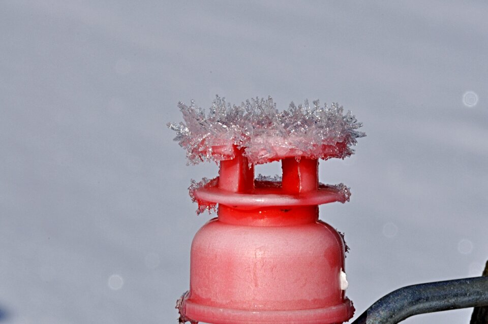 Ripe cold frozen