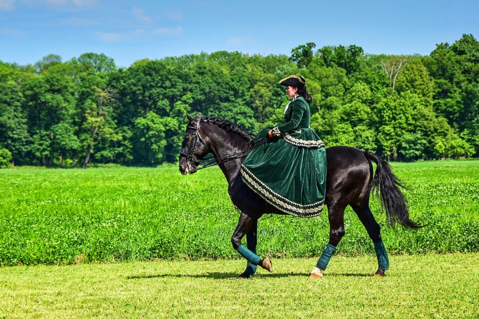 Woman bridle riding