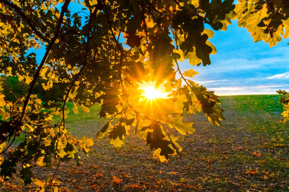 Nature mood dusk