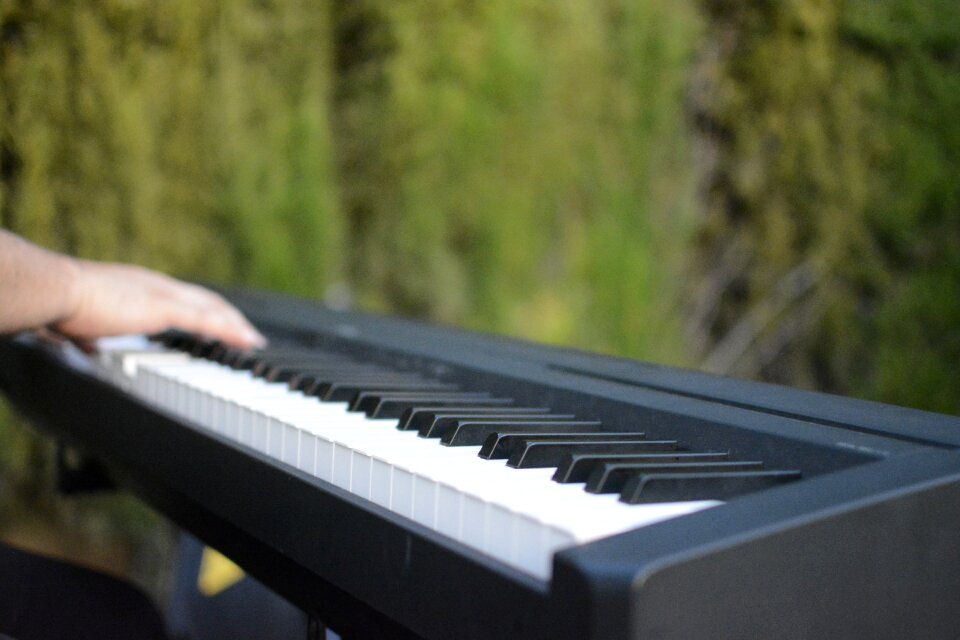 Instrument music wedding