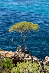 Creek sea mediterranean