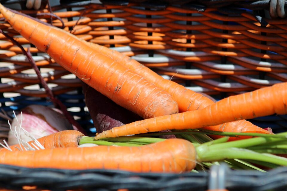 Vegetables nutrition orange