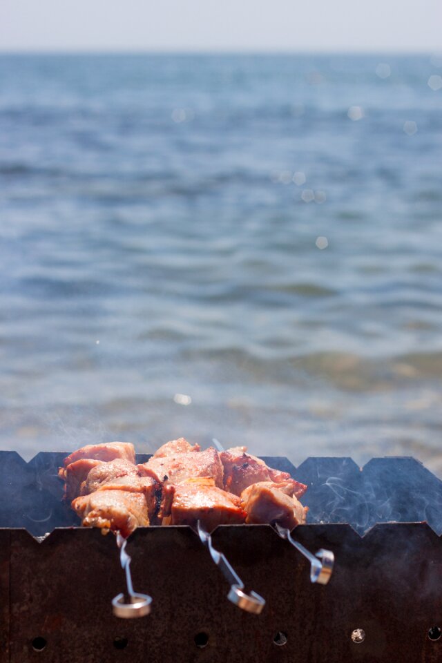 Skewers picnic summer