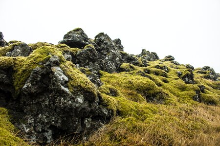 Nature landscape stones